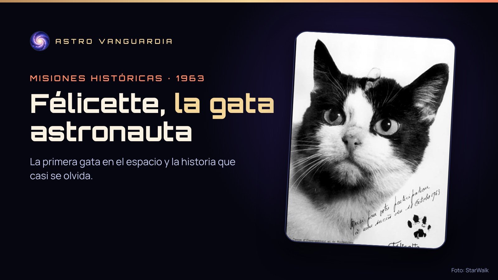 Portada con el retrato de Félicette, la primera gata en el espacio, y el título Félicette, la gata astronauta